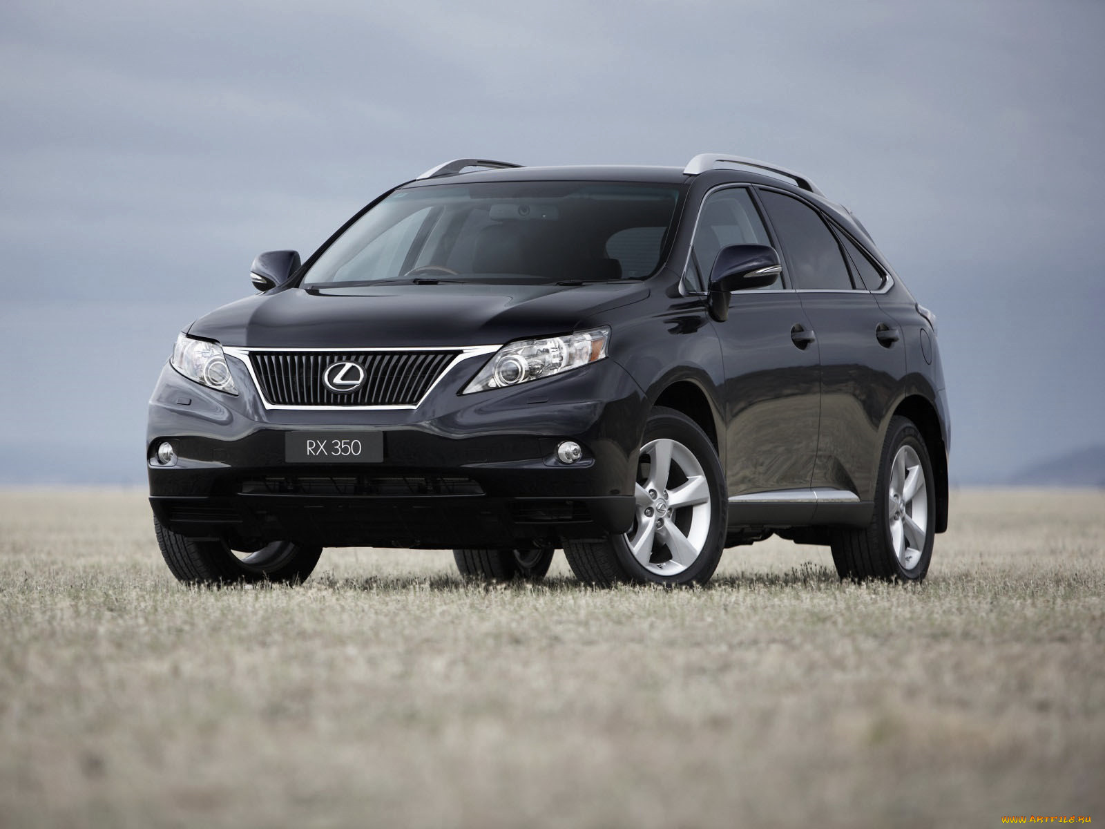 , lexus
